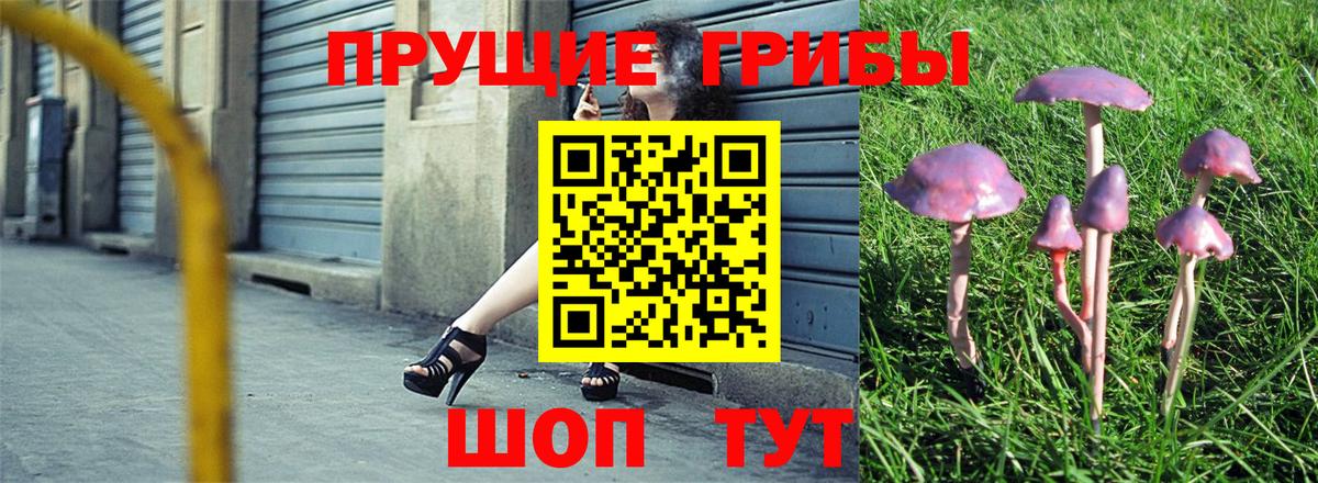 Псилоцибиновые грибы ЛСД Свободный