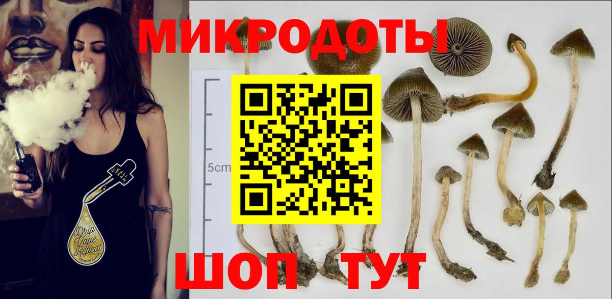 Свободный  Галлюциногенные грибы MAGIC MUSHROOMS  Вход с VPN  Псилоцибиновые грибы Cubensis 