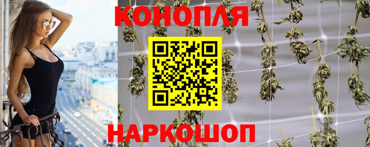 Конопля AK-47  Конопля план  Вход с VPN  Марихуана Bruce Banner  Свободный 